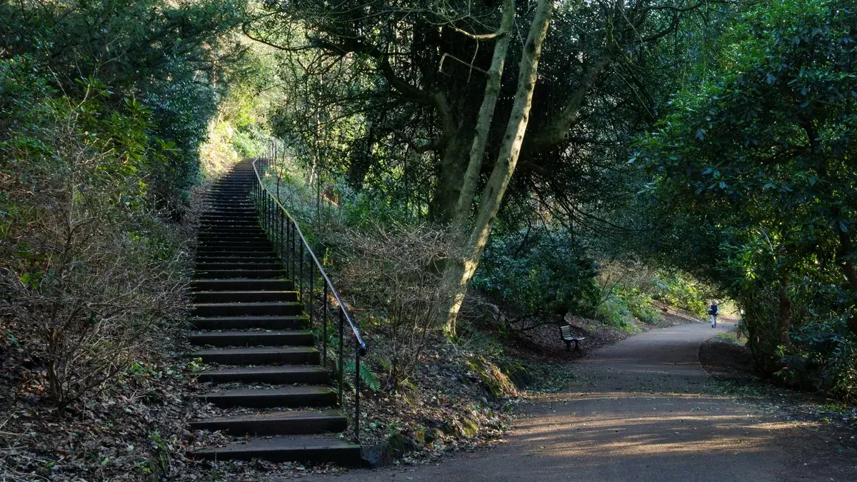 The Best Walks in Heaton & Ouseburn